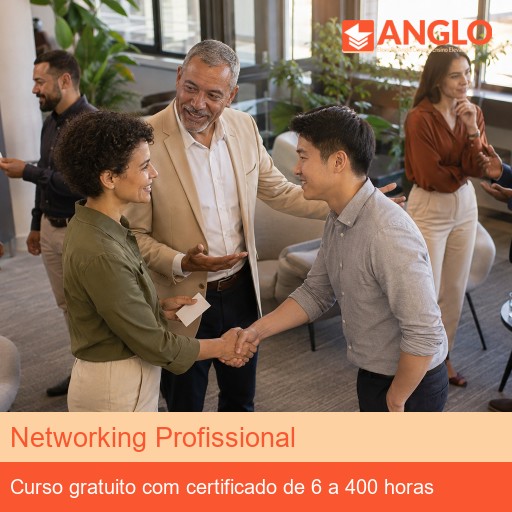 Networking Profissional